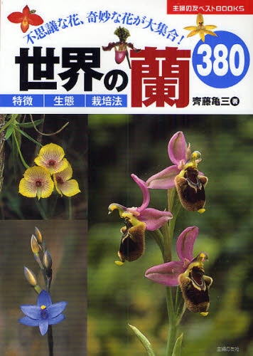 本